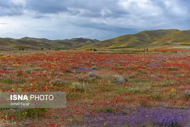 ایران زیباست | طبیعت هزار رنگ جلگه ارومیه