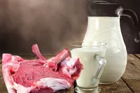 ضربه شدید واردات گوشت به تولیدکنندگان | شیرخام هنوز با قیمت ابلاغی جدید خریداری نمی‌شود