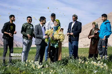 نذر گل نرگس به مقصد حرم