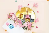 وقف‌هایی امام رضایی (ع) که زنان بانی آن بوده‌اند