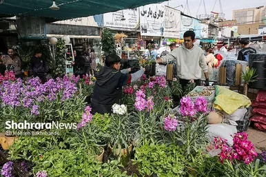 حال و هوای بازار گل در آستانه عید نوروز