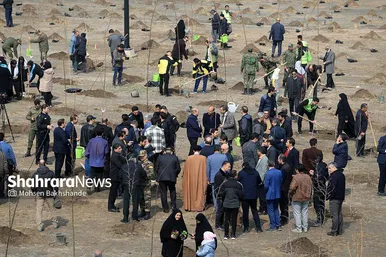 پویش سراسری درخت‌کاری در بوستان جهانشهر
