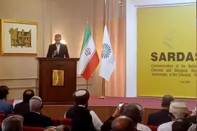 باقری&zwnj;کنی: نیازمند اقدام قاطع جامعه جهانی برای توقف جنایت&zwnj;های جنگی رژیم صهیونیستی هستیم