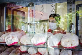 ویدئو| بی&zwnj;ثباتی قیمت مرغ و سرگردانی مردم