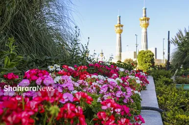 گزارش تصویری | پاییز بهاری مشهد