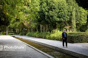 پیش&zwnj;بینی ورشکستگی سازمان تأمین اجتماعی تا سال ۱۴۰۴