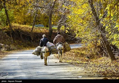 ایران زیباست | پاییز رنگارنگ کردستان