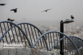 &nbsp;مشهد در دی ماه بیشترین آلودگی هوا را تجربه کرد