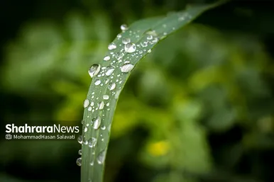 طبیعت زیبای ترکمن صحرا