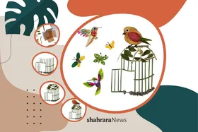 آموزش کاردستی | آزادی پرنده&zwnj;ها