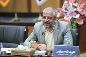 اعلام شرایط فروش اینترنتی خودرو | واردکنندگان موبایل رتبه&zwnj;بندی می&zwnj;شوند