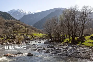 ایران زیباست | مخمل کوه در گستره زاگرس - لرستان