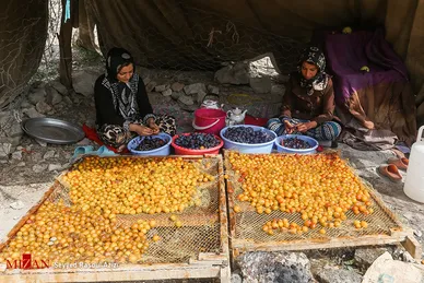بام‌های طلایی خرو