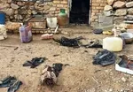 آخرین اخبار از انفجار در معدن دامغان + تصویر و اسامی جان‌باختگان