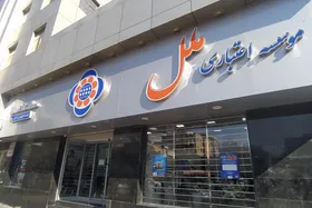 ظهوریان: مؤسسه ملل به&zwnj;صورت خانوادگی و غیرشفاف اداره می&zwnj;شد | سلب صلاحیت هیئت&zwnj;مدیره، نخستین گام مقابله با بانک&zwnj;های ناسالم است