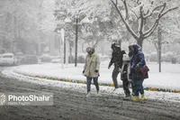 ویدئو | بارش برف در مشهد (شنبه ۲۴ آذر ۱۴۰۳)