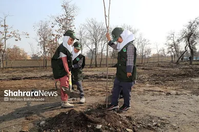پویش سراسری درخت‌کاری در بوستان جهانشهر