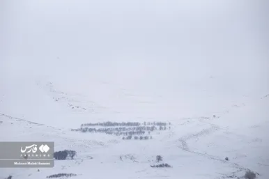 ایران زیباست | طبیعت برفیِ «هندودر»