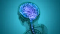 شناسایی پنج زیرگروه آلزایمر در جهان