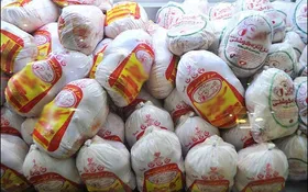 آغاز توزیع گوشت منجمد مرغ در خراسان رضوی