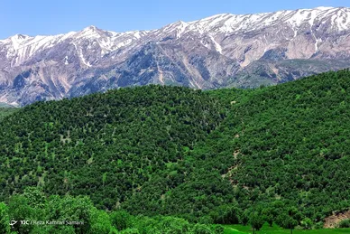ایران زیباست | طبیعت چشم نواز بازفت - چهارمحال و بختیاری