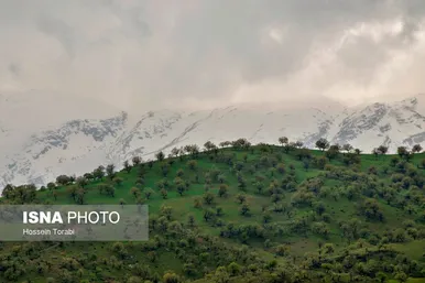 ایران زیباست | طبیعت بهاری چهارمحال و بختیاری