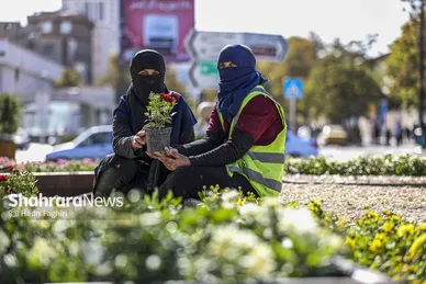 گزارش تصویری | پاییز بهاری مشهد