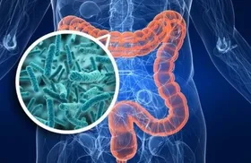 افزایش میکروبیوم روده به چاقی و دیابت کمک می&zwnj;کند