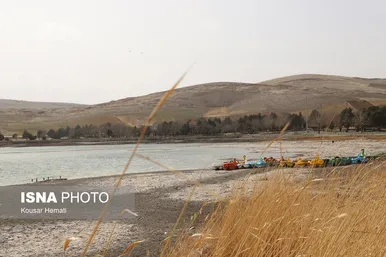 گزارش تصویری | کم آبی «سراب نیلوفر» همچنان ادامه دارد
