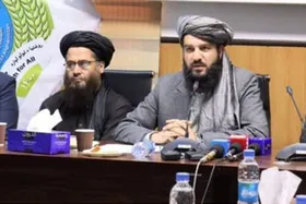 افغانستانی&zwnj;ها سالانه ۵۰۰ میلیون دلار برای درمان در خارج از کشور هزینه می&zwnj;کنند