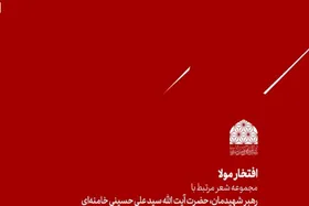 انتشار مجموعه شعر &laquo;افتخار مولا&raquo; ویژه شهادت امام خامنه&zwnj;ای به همت بنیاد بین المللی امام رضا(ع)
