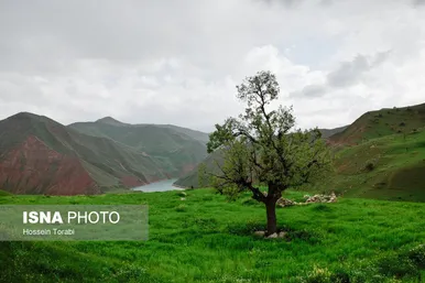 ایران زیباست | طبیعت بهاری چهارمحال و بختیاری