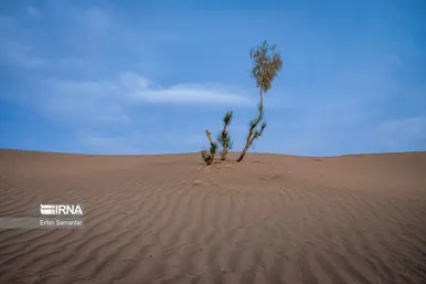 ایران زیباست | پناهگاه حیات وحش نایبندان