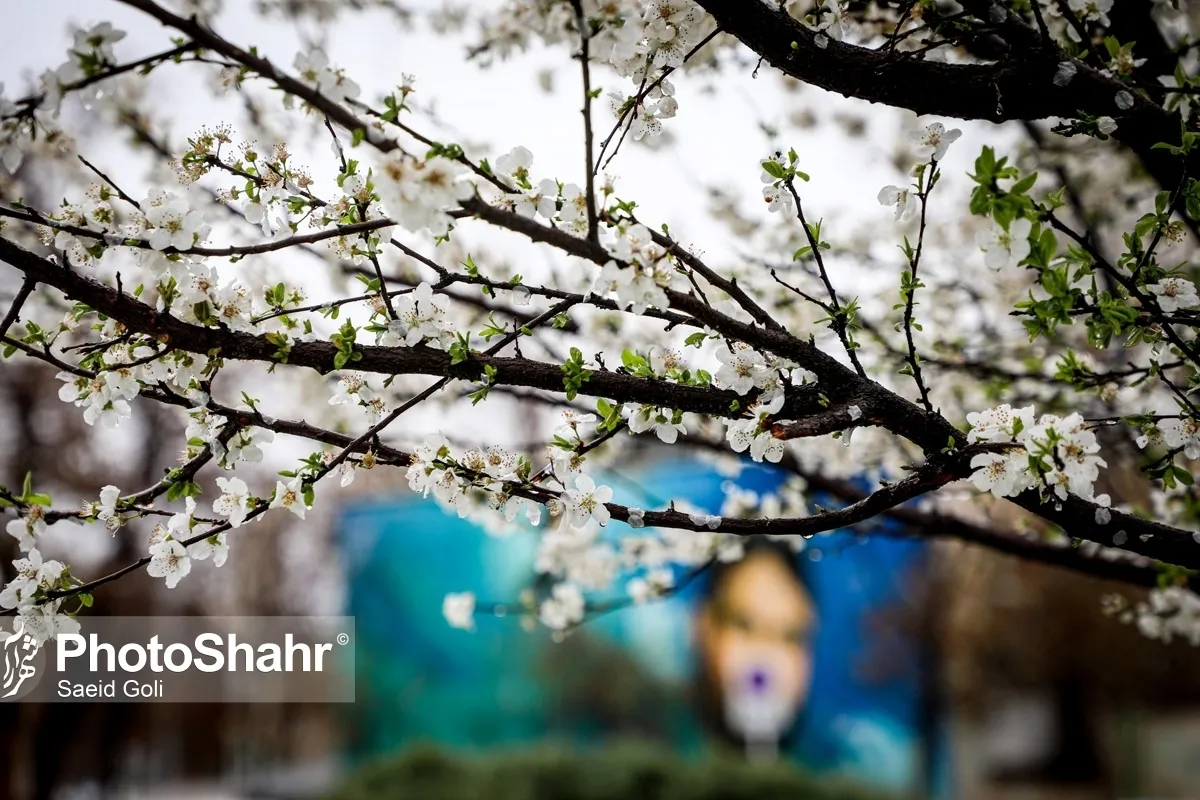 خراسان رضوی با کاهش دما و بارش باران مواجه خواهد بود (۱۲ و ۱۳ فروردین ۱۴۰۳)
