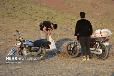 کوه؛ بهار، ریواس