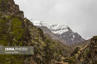 ایران زیباست | مخمل کوه در گستره زاگرس - لرستان