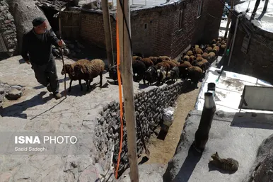 نوروزگردی | روستای تاریخی کندوان