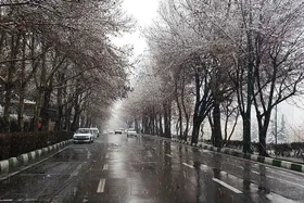 وضعیت بارش&zwnj;های زمستانی پایتخت چگونه خواهد بود؟