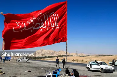 زائران پیاده امام رضا (علیه السلام)