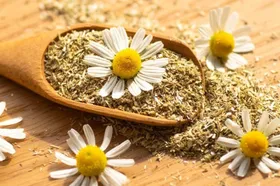 تسکین درد&zwnj;های رحم با مصرف مناسب چای بابونه