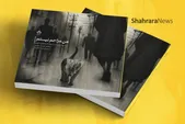روایتی از کیارنگ علایی، عکاسی که این روز‌ها حامی گربه‌های آسیب‌دیده است | ما عاشق معصومیت هستیم