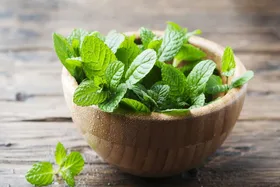 اگر دچار یبوست شده&zwnj;اید، نعناع بخورید!