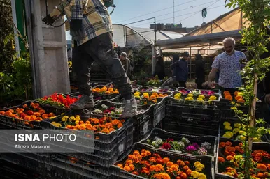 ایران زیباست | بازار گل محلاتی در روزهای پایانی ۱۴۰۳