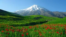 اگر عرصه ملی باشد، سند غیر قانونی است