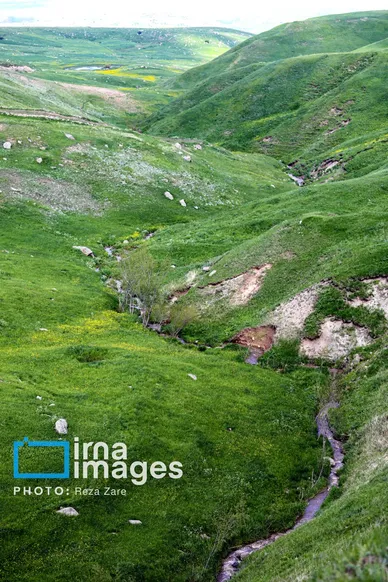 ایران زیباست | طبیعت بهاری دامنه کوه سبلان