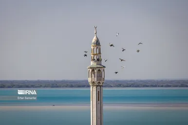 ایران زیباست | سواحل خلیج فارس
