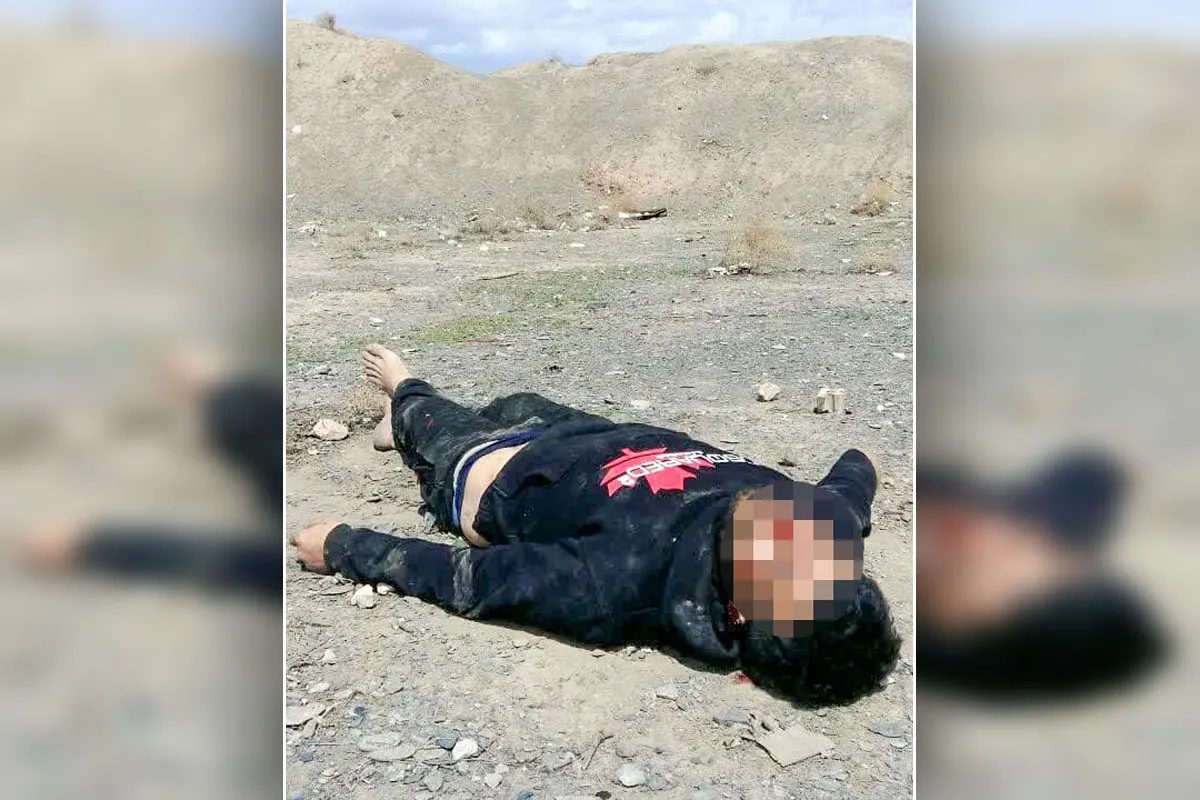 باز شدن گره پرونده قتل با شناسایی تصویر مقتول