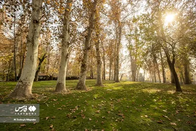 ایران زیباست | پاییز در باغ موزه نیاوران