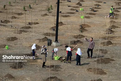 پویش سراسری درخت‌کاری در بوستان جهانشهر