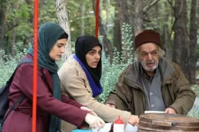 سریال &laquo;چرخ گردون&raquo; به فصل دوم می&zwnj;رسد